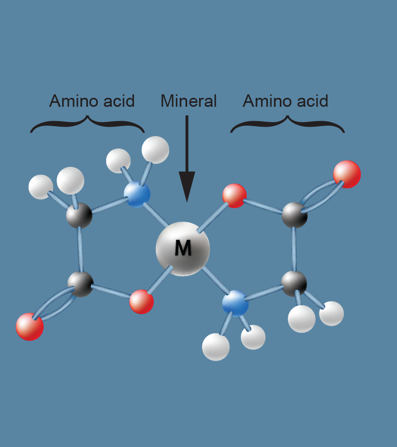 chelated minerals