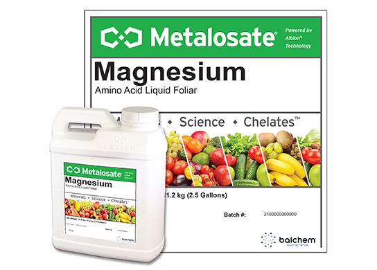 Metalosate Magnesium contains amino acid magnesium chelates to correct magnesium deficiency in plants.