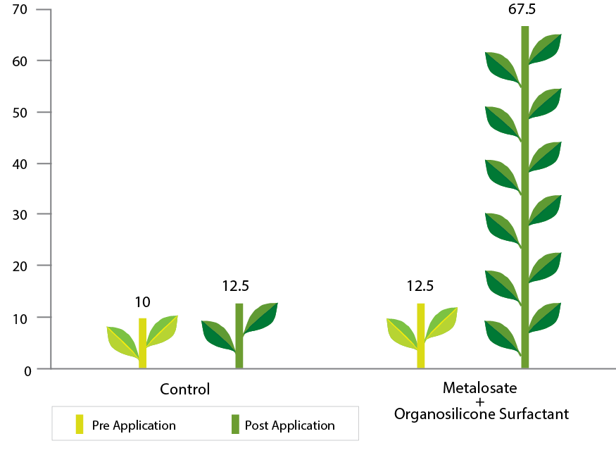 Metalosate Iron in Citrus