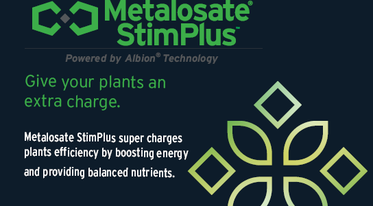 Metalosate StimPlus combines amino acid chelated mineral and seaweed extract for optimal plant nutrition.