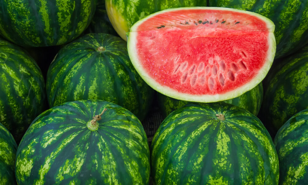 Increasing shelf life in melons with Metalosate